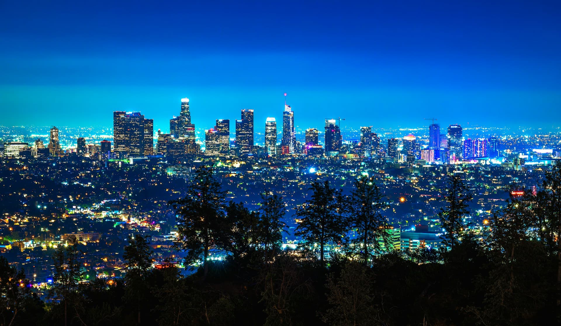 Los Angeles skyline at night from above the city