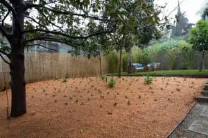 2121 Clifford St image 16