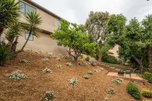 348 W Avenue 41 image 17