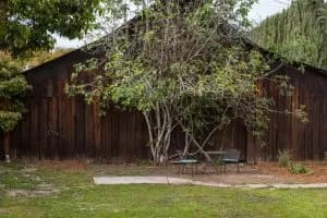 3555 El Sereno Ave image 11