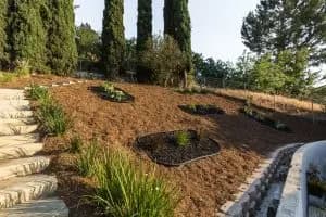 3650 Mimosa Dr image 17